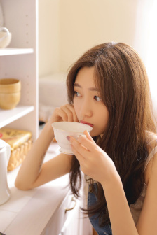 钢之炼金术师fa